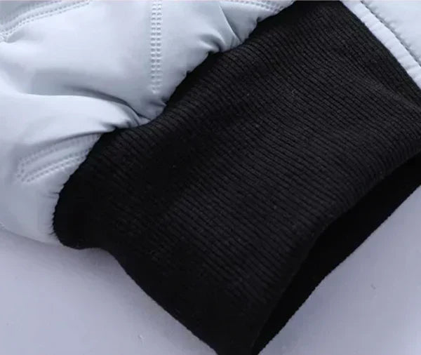 Theo | Herren Gefütterte Jacke mit Stehkragen