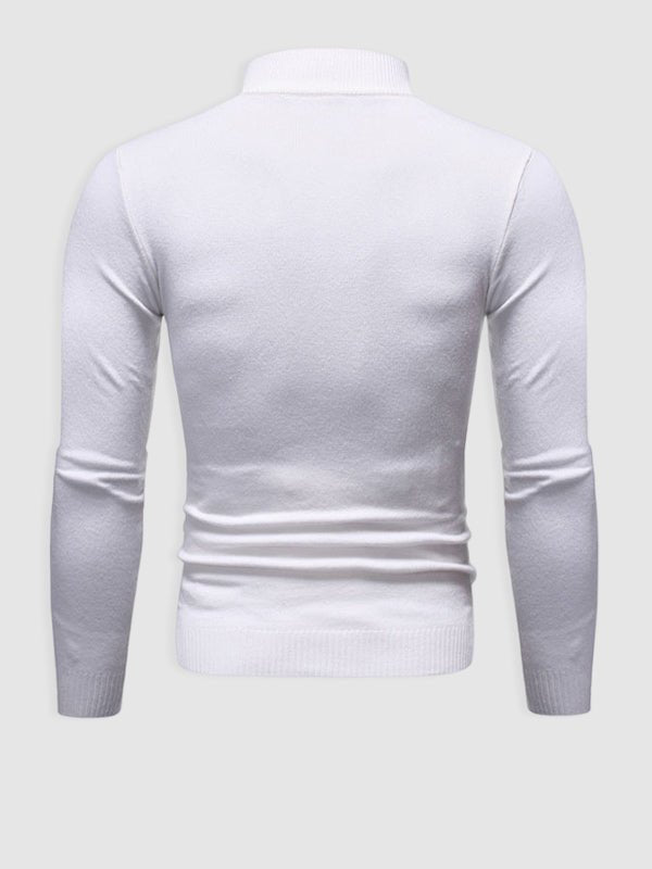 Alexander | Herren Frühlings Slim-Fit Rollkragenpullover